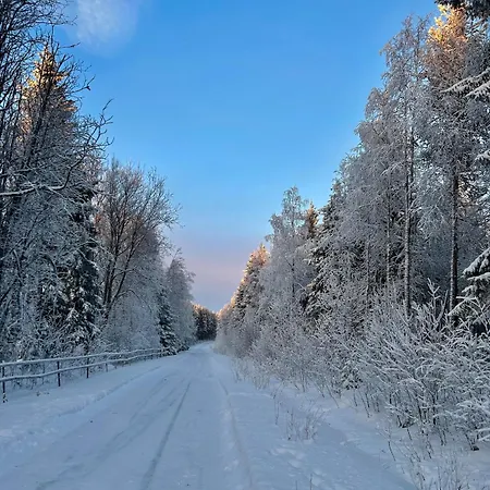 Traditional Lapland 2br House With Private Sauna Villa